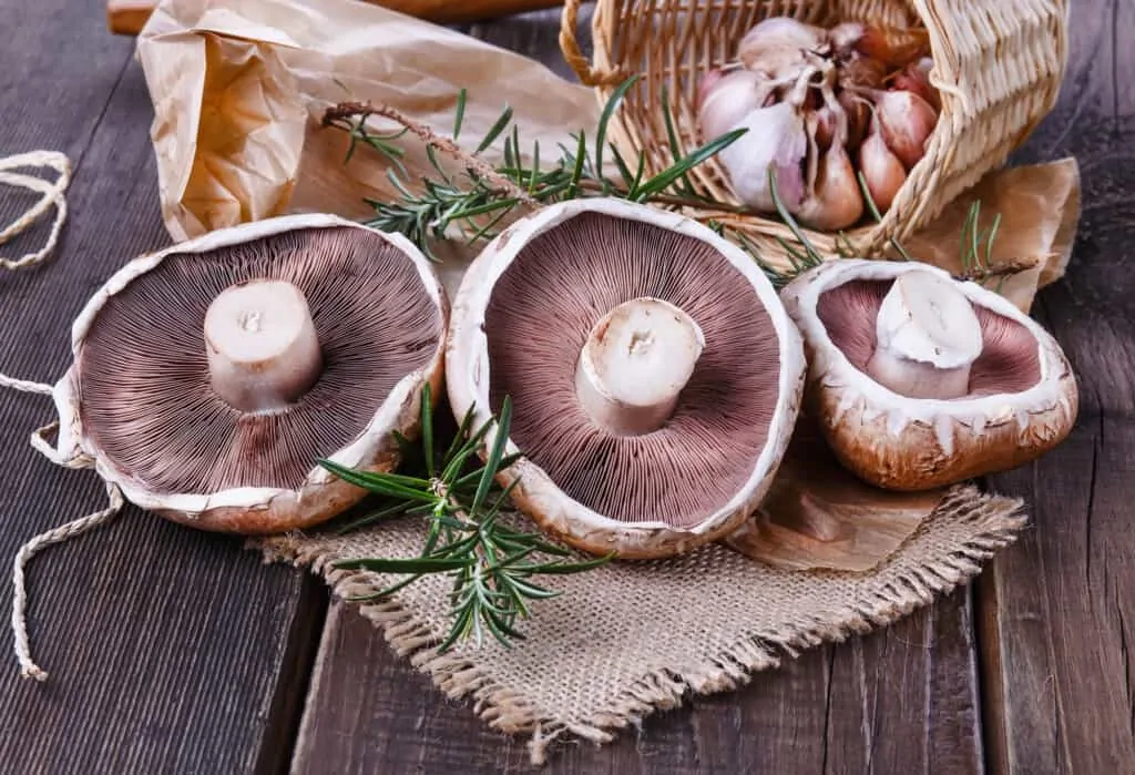 garlic and mushrooms for beef tenderloin steaks with mushrooms