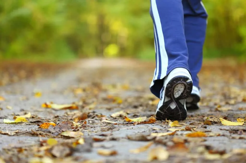 image of a person walking on a leafy path