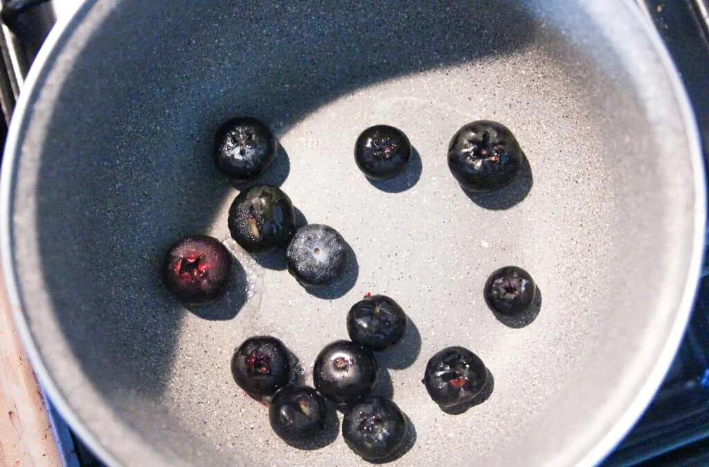 blueberries in a pot