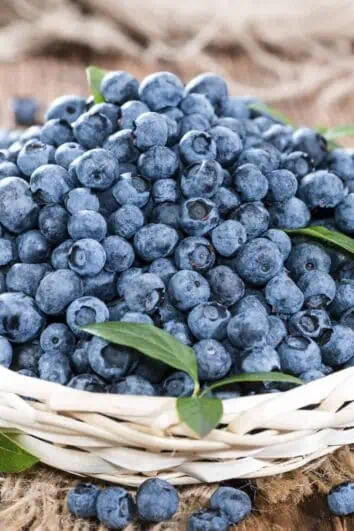 fresh blueberries