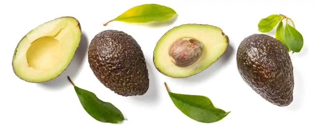 whole and cut avocadoes on a white background with avocado leaves