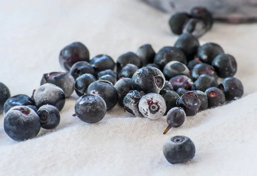 frozen blueberries on a counter
