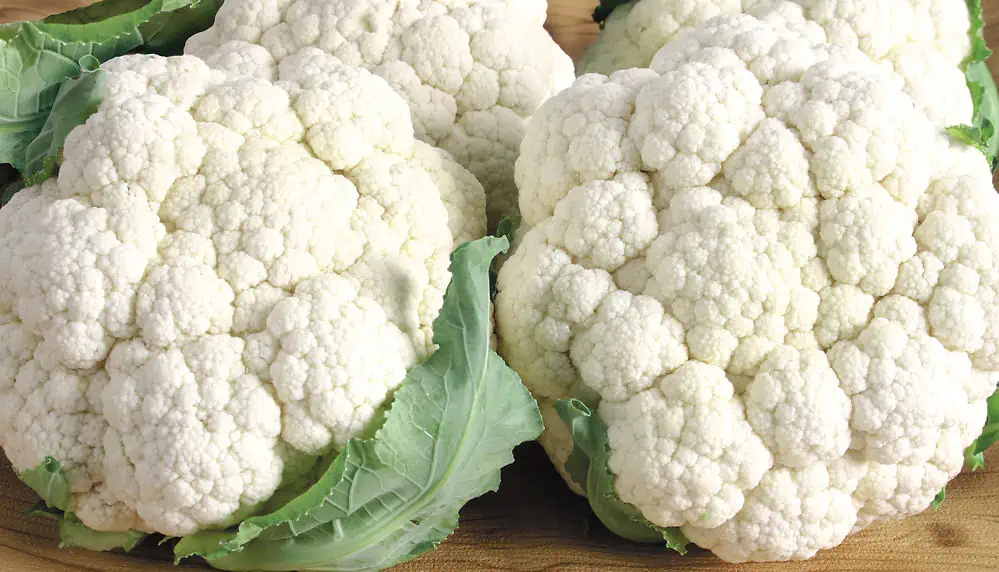 Close-up photos of cauliflowers.